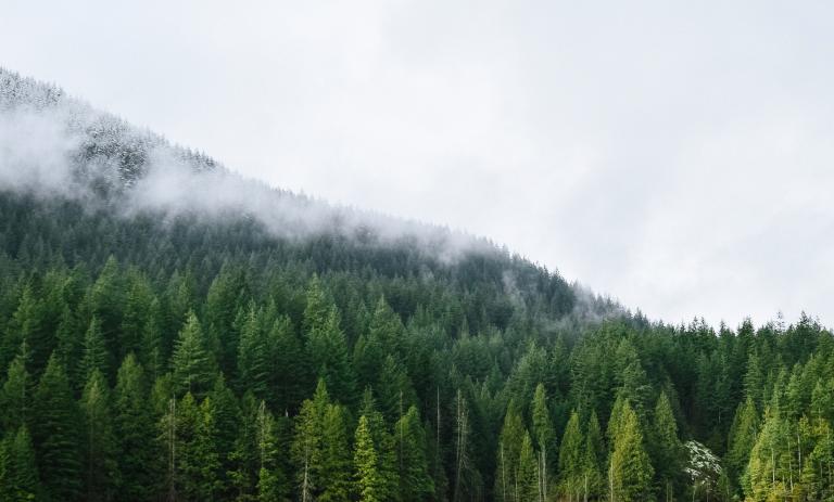 North shore mountains