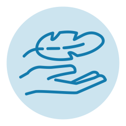 An icon showing a hand holding a feather