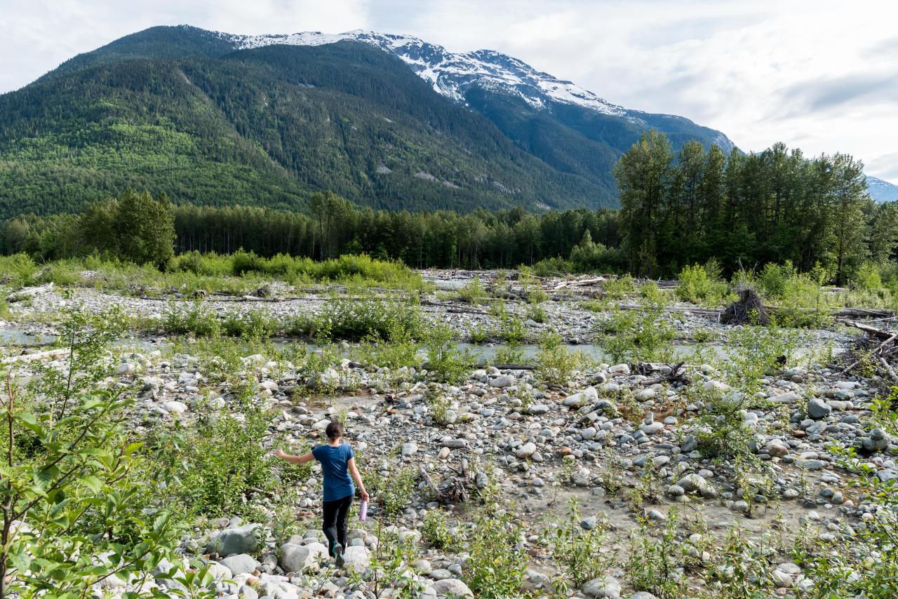 Bella Coola mountain with hiker