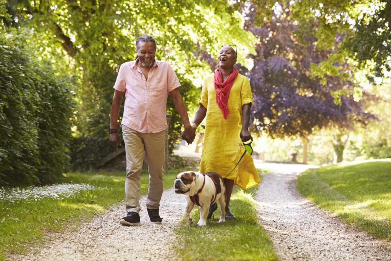 An older couple walking their dog on a sunny day