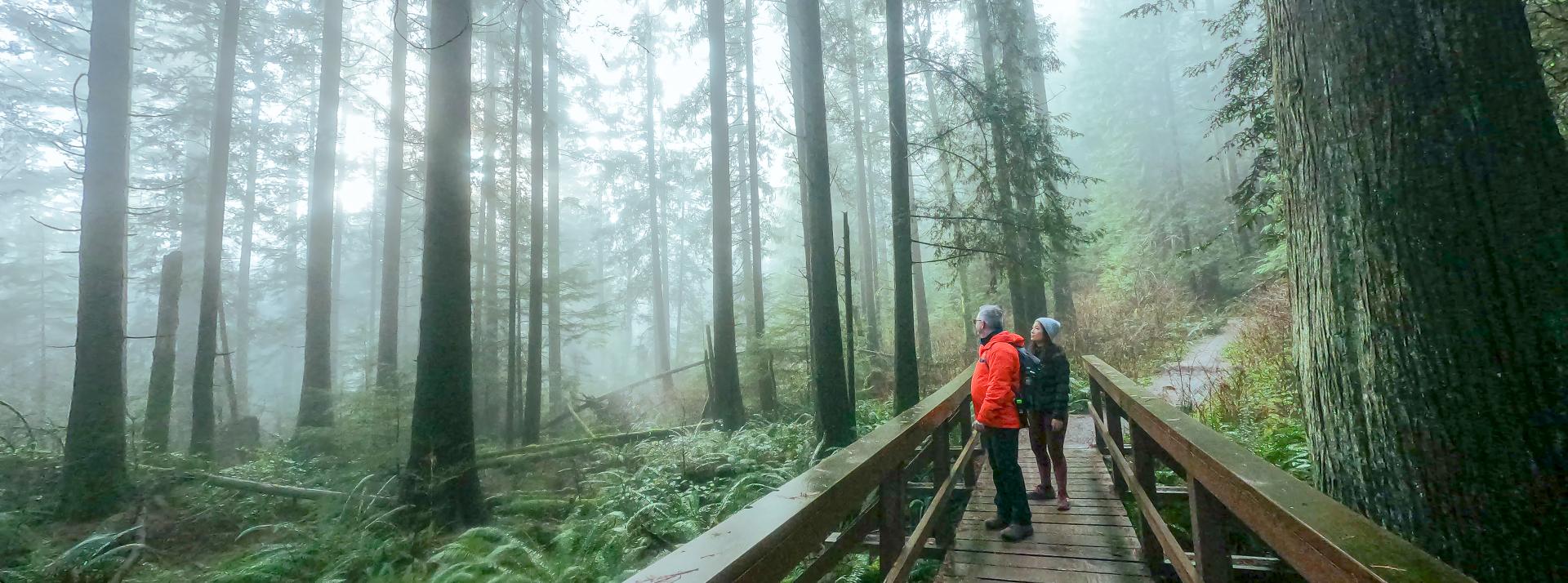 two people hiking in a forest