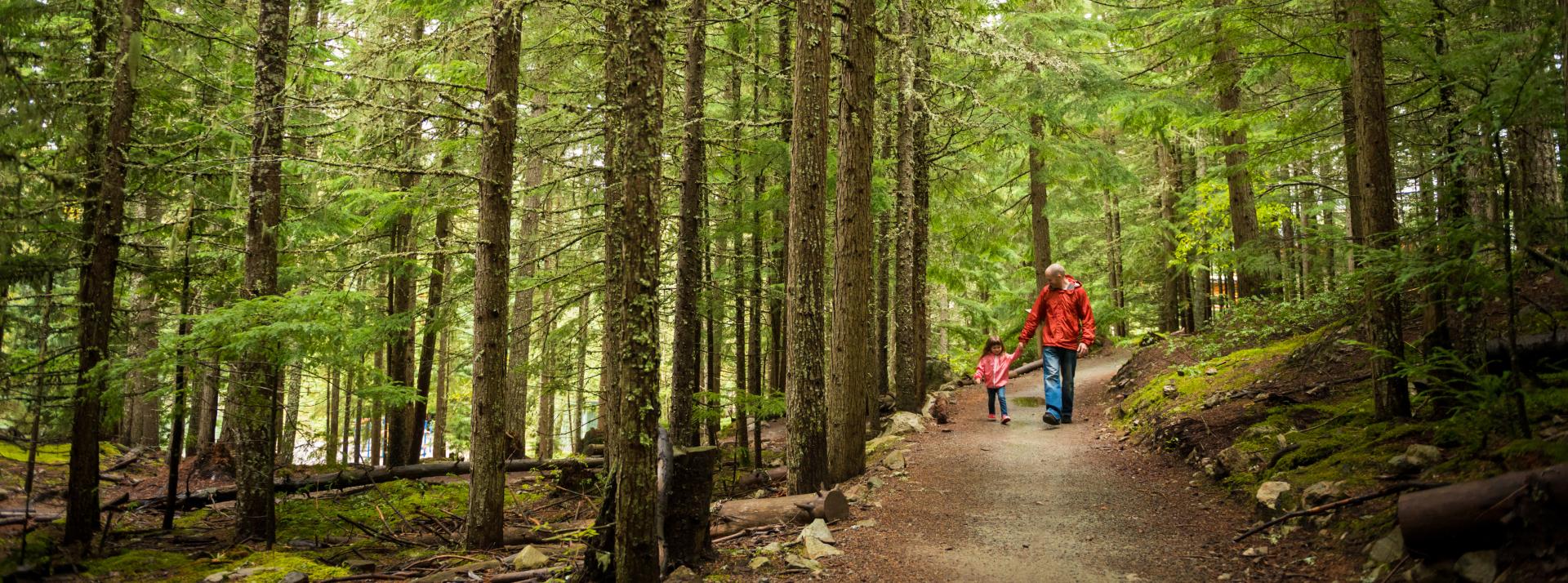 Dad and daughter hiking in woods