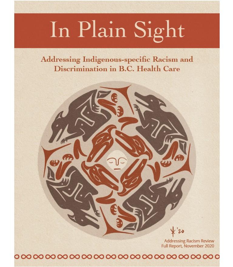 Cover of the 2020 In Plain Sight report