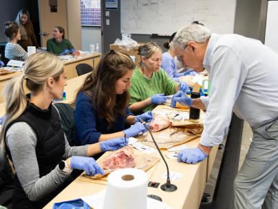 NP Suturing workshop with instructor