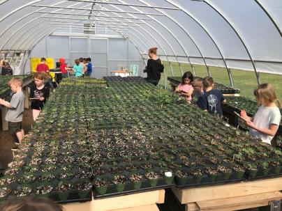 Students drawing and observing seed starts in greenhouse